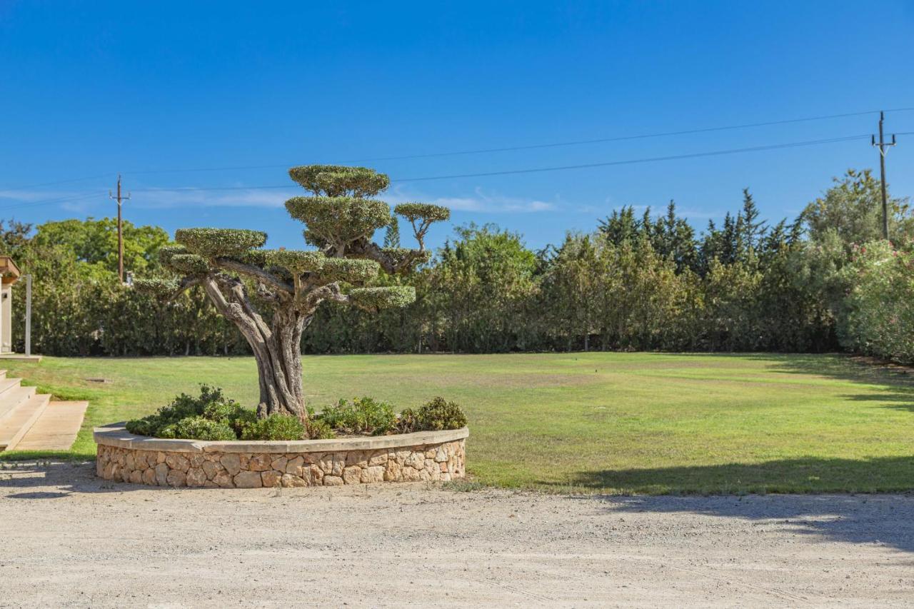 Villa Can Magnus Alcúdia Exterior foto